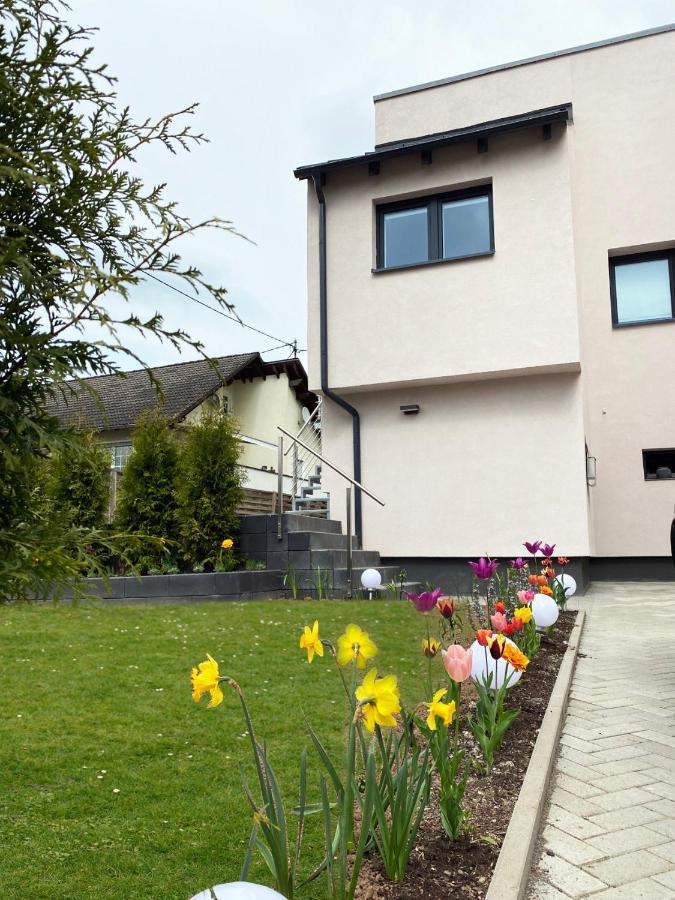 Sonnenlay Lounge - Studio & Ferienhaus Brauneberg Εξωτερικό φωτογραφία